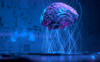 Les neurosciences dévoilent comment vos émotions influencent vos décisions financières
