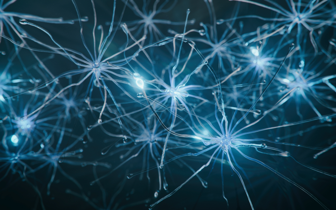 Les secrets des rêves lucides pour hacker votre cerveau
