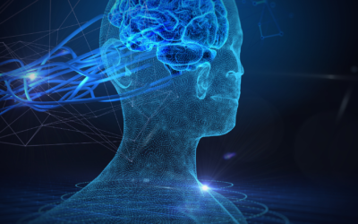 Ce que votre réseau social préfère que vous ne sachiez pas sur votre cerveau