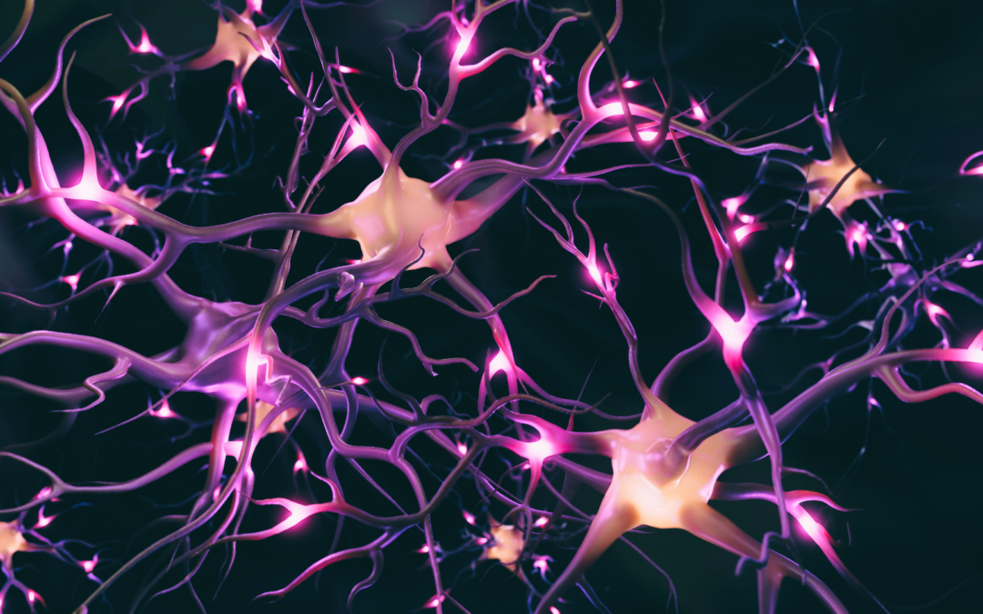 Prenez votre cerveau en main : la neuromodulation à domicile, vrai ou faux miracle ?