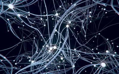 Votre cerveau est-il programmé pour l’échec ? Les vérités dérangeantes des neurosciences