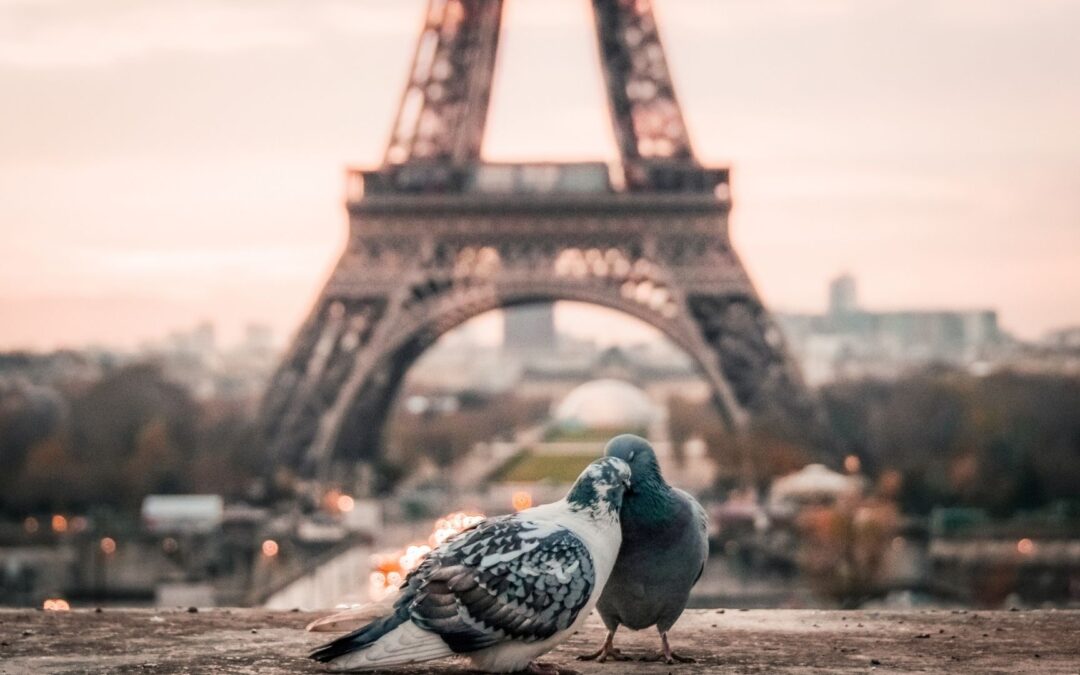 Paris, Capitale de l&rsquo;Innovation Pédagogique : Découvrez les Nouvelles Méthodes des Formations Scientifiques