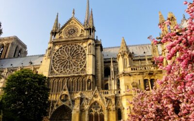 La science en réalité virtuelle : plonger dans les laboratoires parisiens du futur